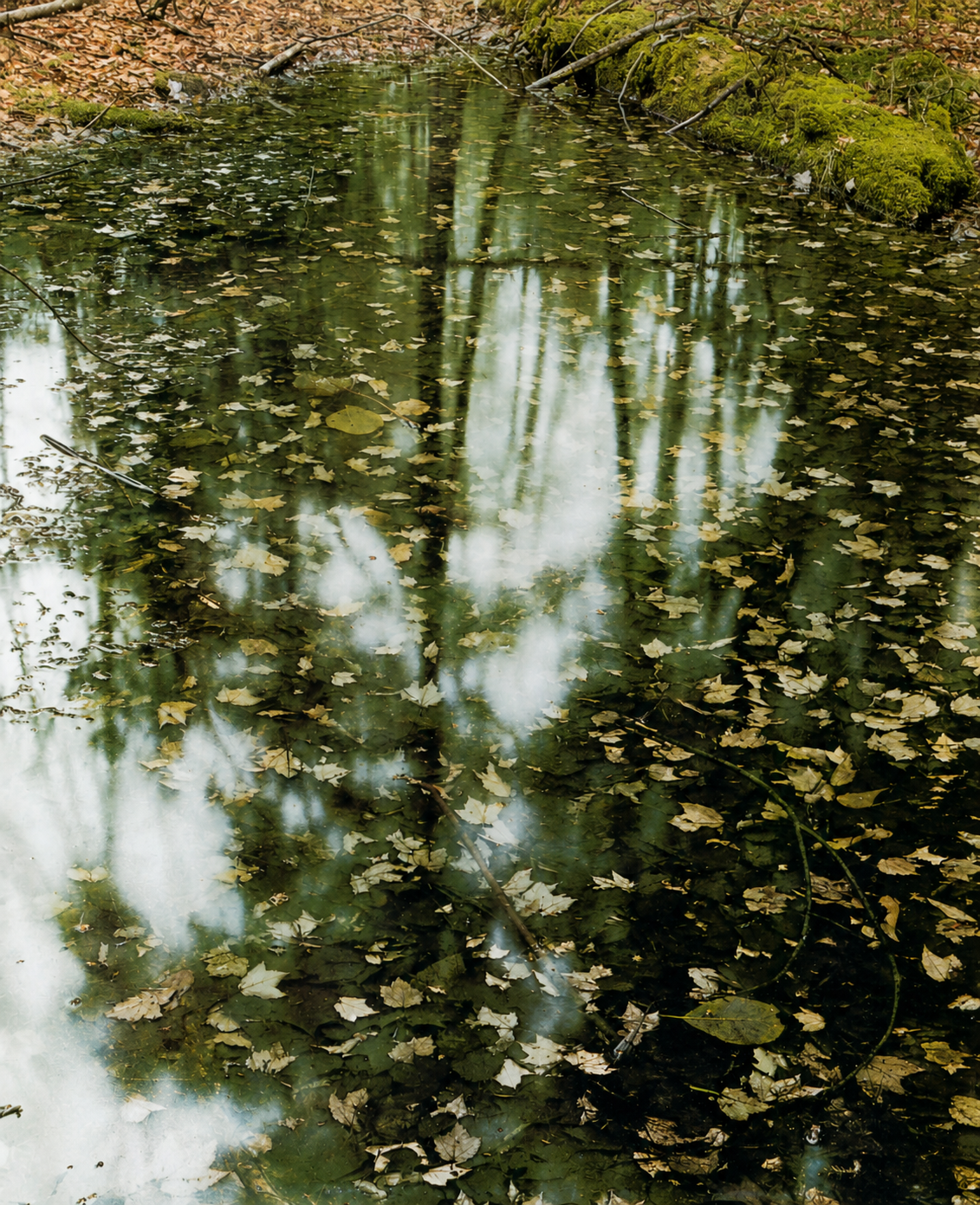 New England pond
