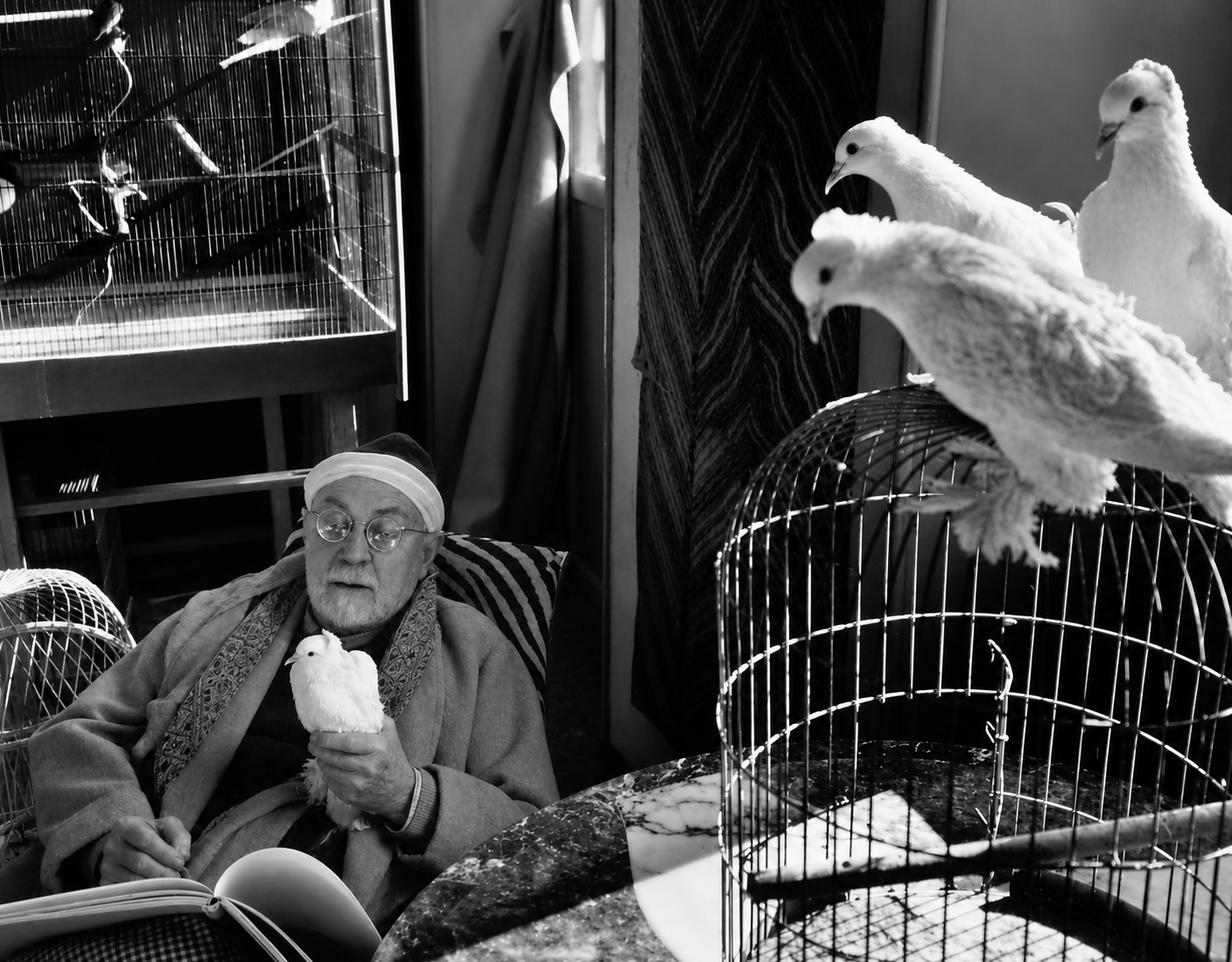 Matisse and his birds