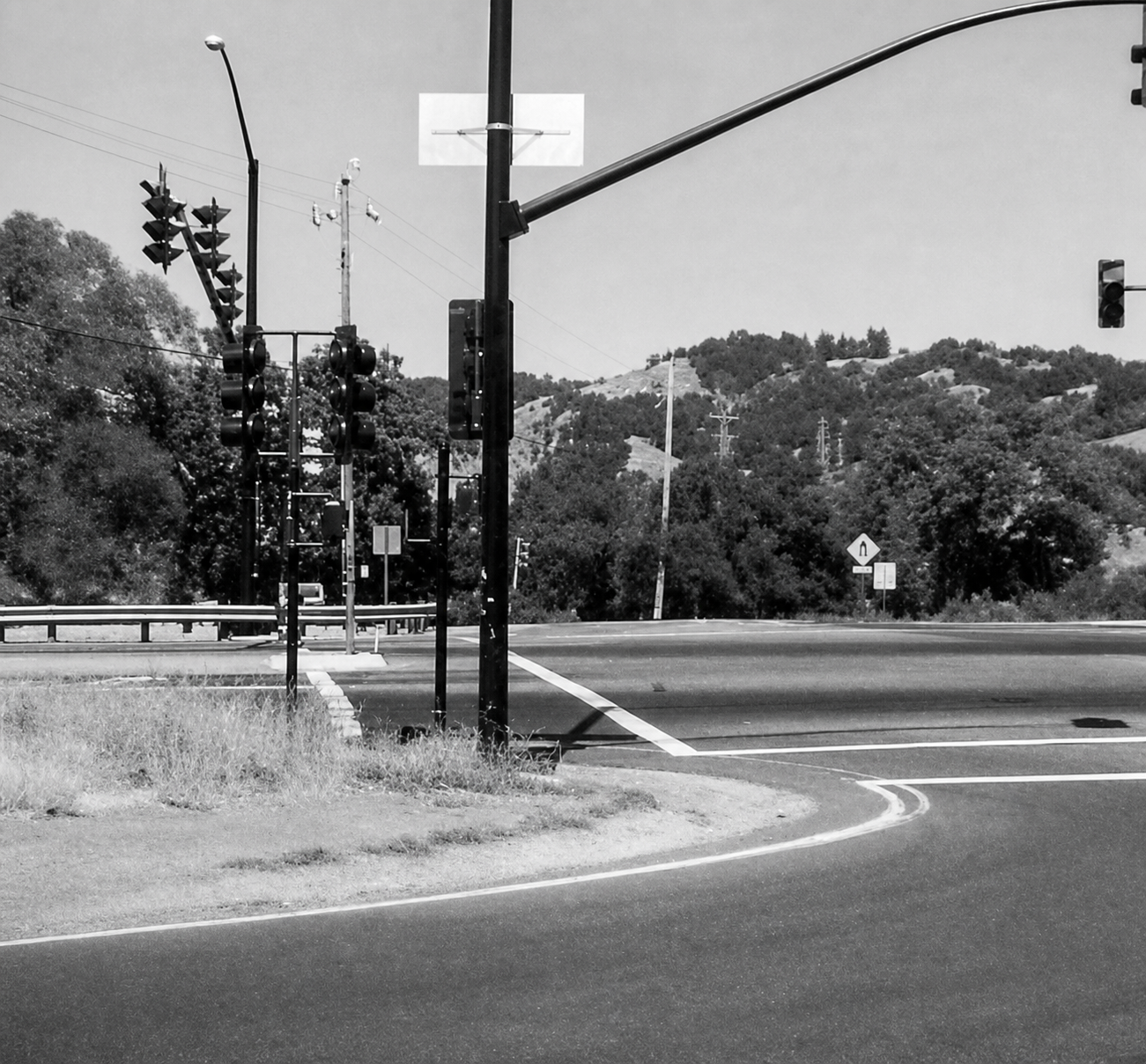 Suburban road with trees