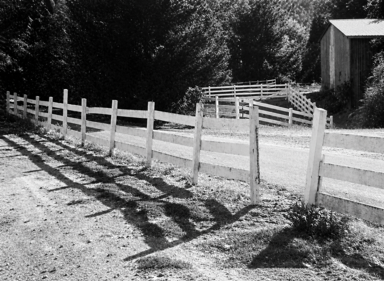 Old fence