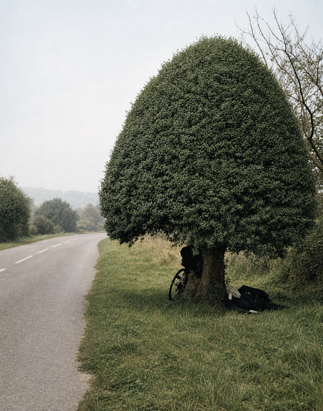 A tree, a road, a bicycle, and a cyclist is the donut of space under the tree, not the less we pay attention to the structure of wholeness as it is.