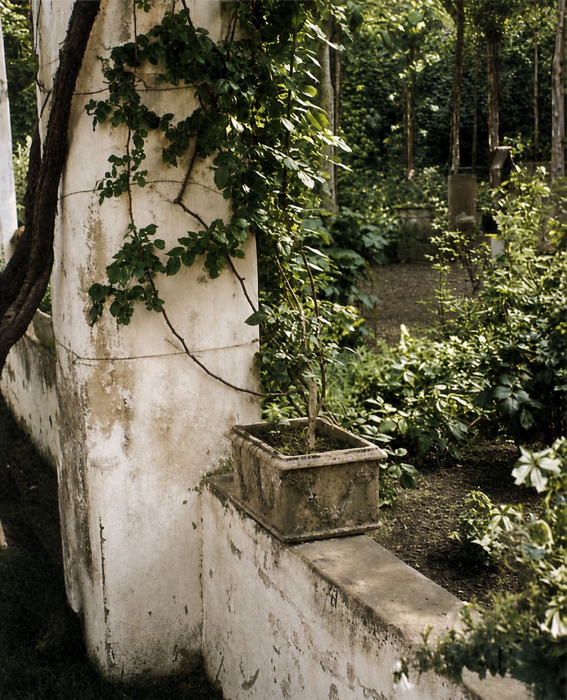 The flower box helps the low wall; the low wall helps the column and the bay.