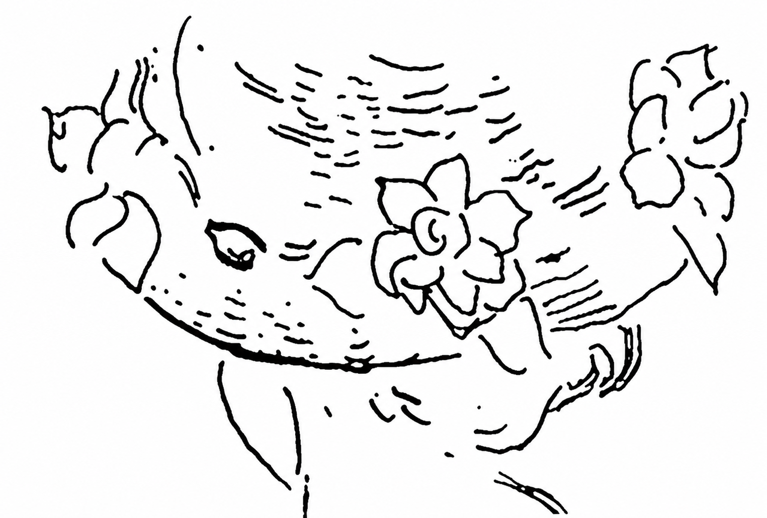 Restored book illustration