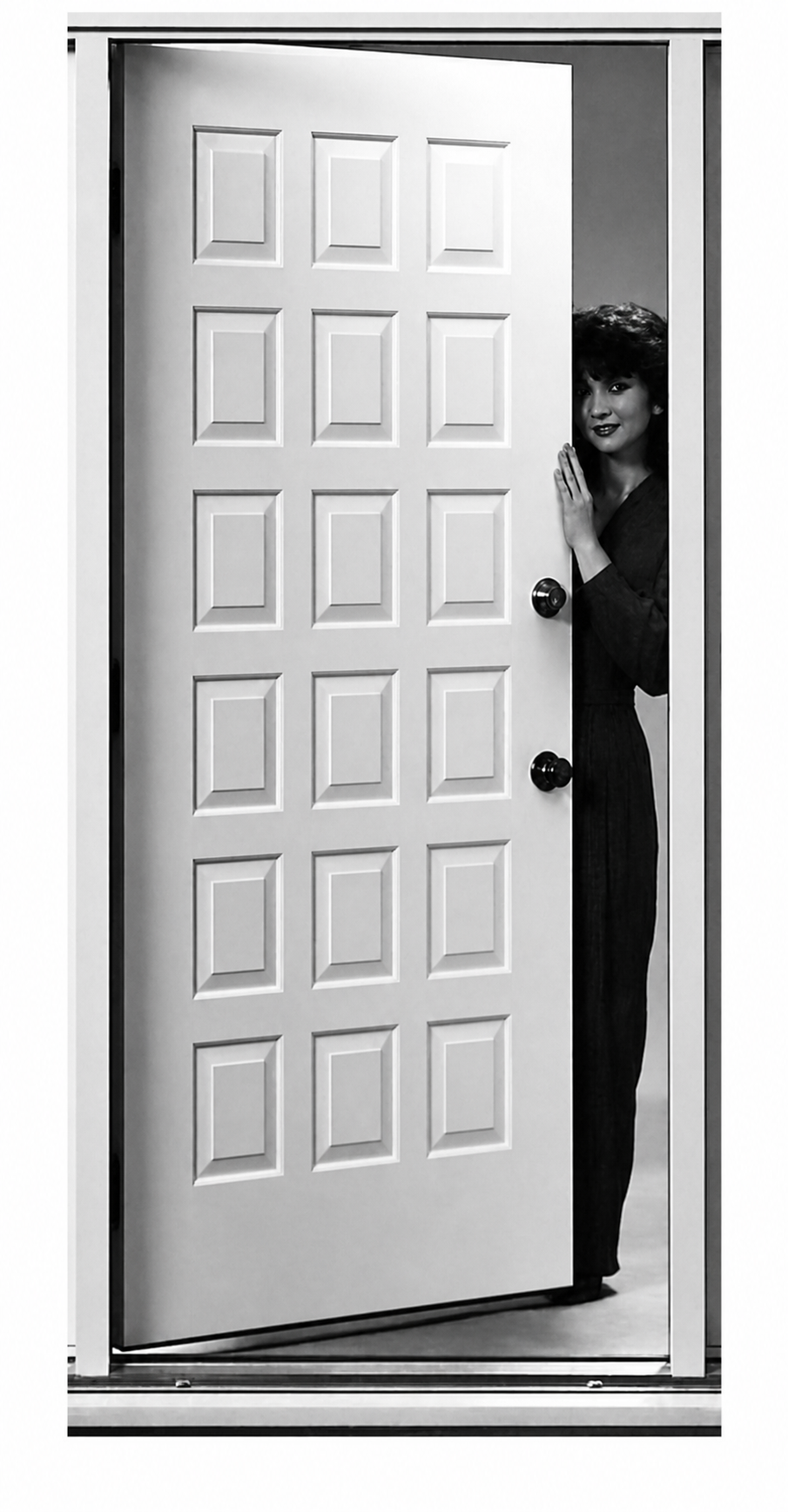 This door seems to have levels of scale, but they don't really work.