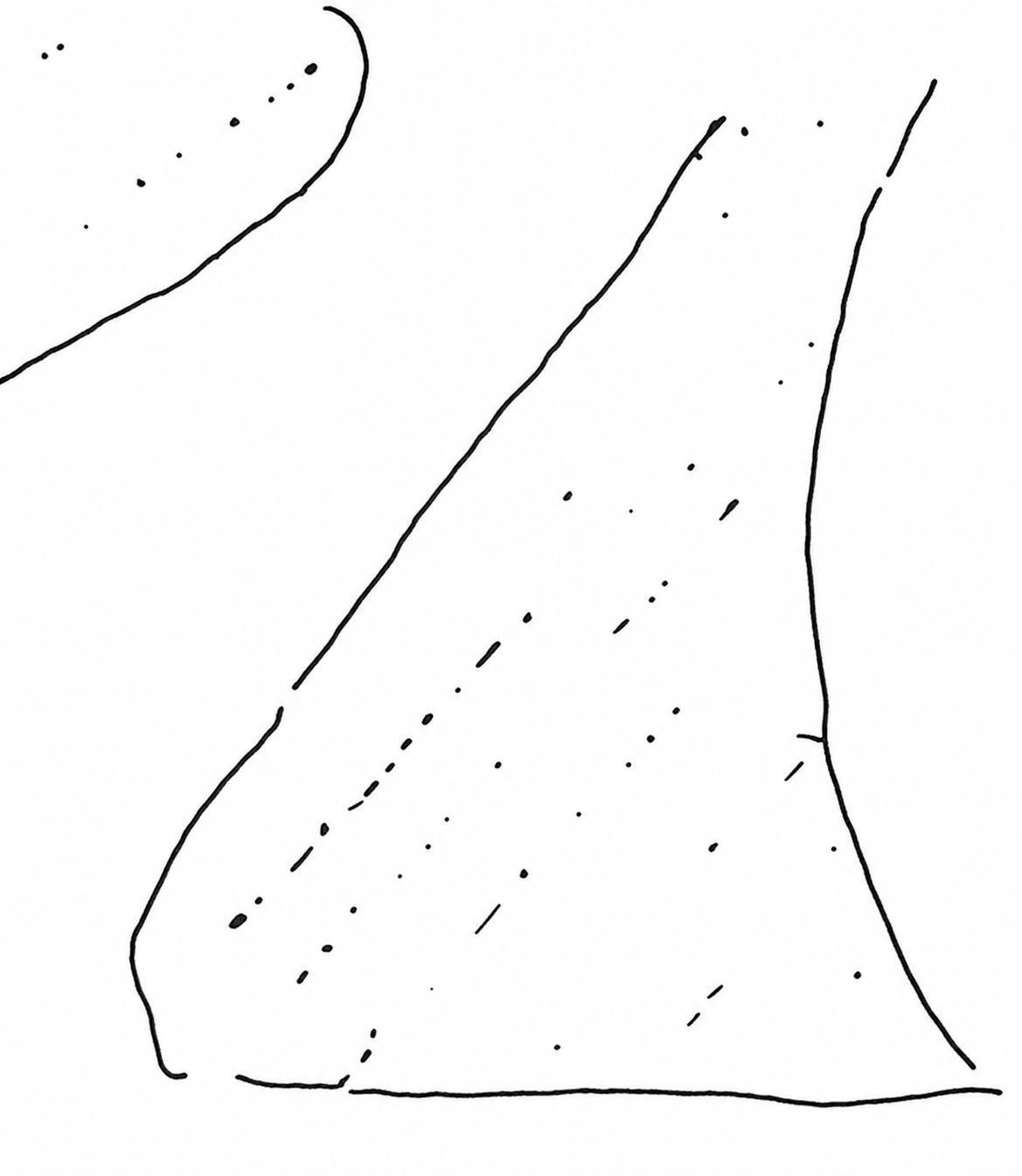 flowers, leaves, buds, blossoms, stems, are all
