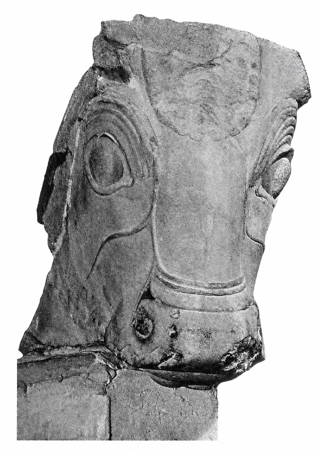 Greek horse: the eyes, the head, each part has its good shape.