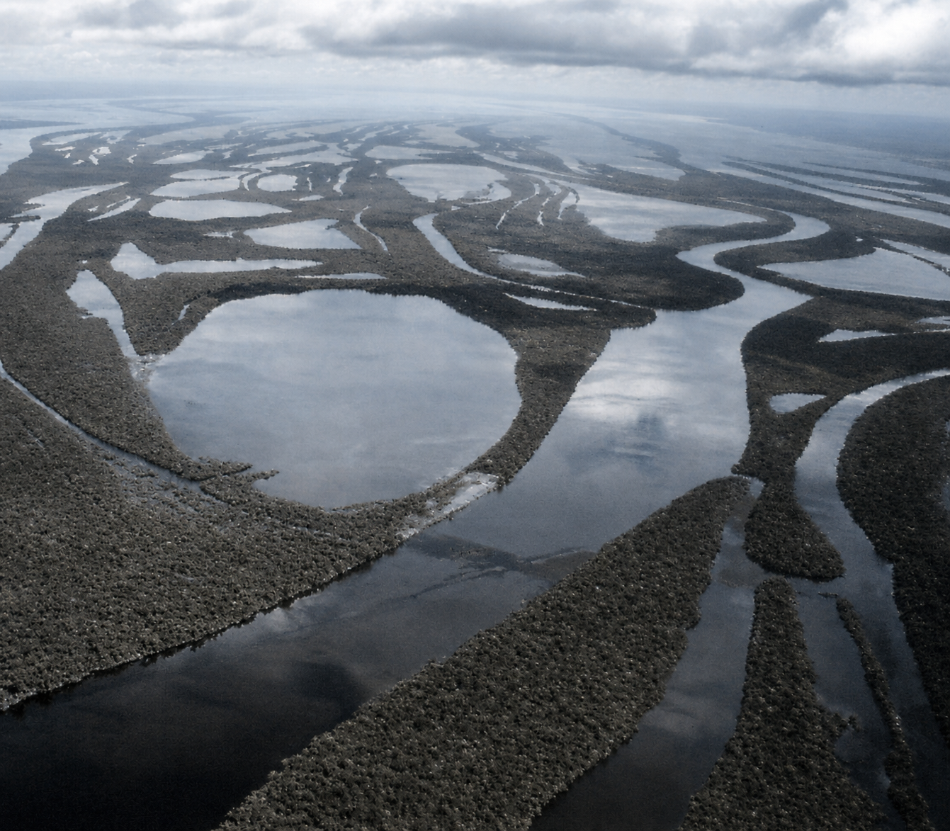 The system of banks and huge boundaries formed by the Rio Negro, where it joins the Amazon