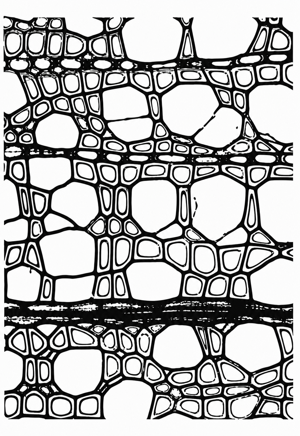 Restored book illustration