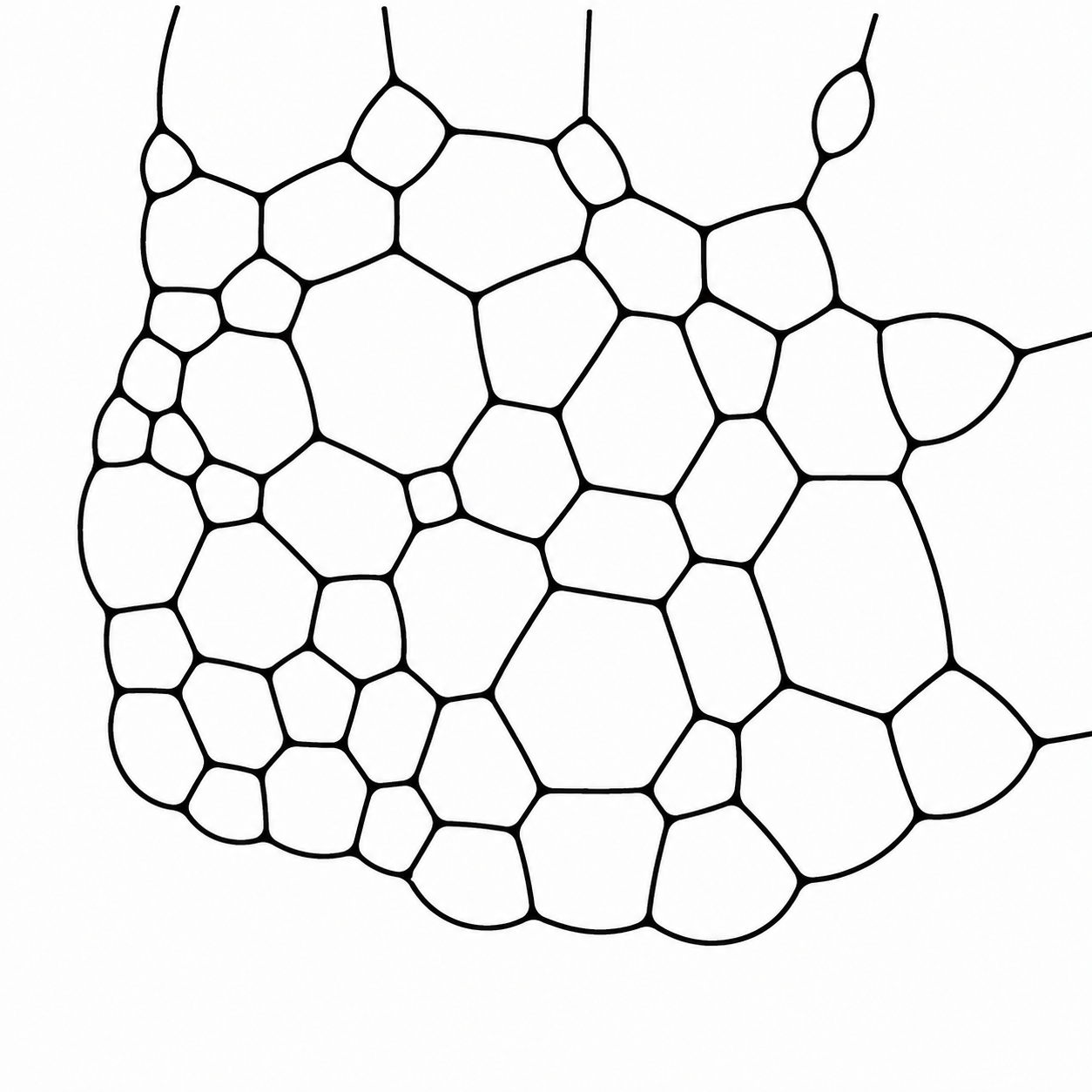 Soap bubbles, and the positive nature of the space they form