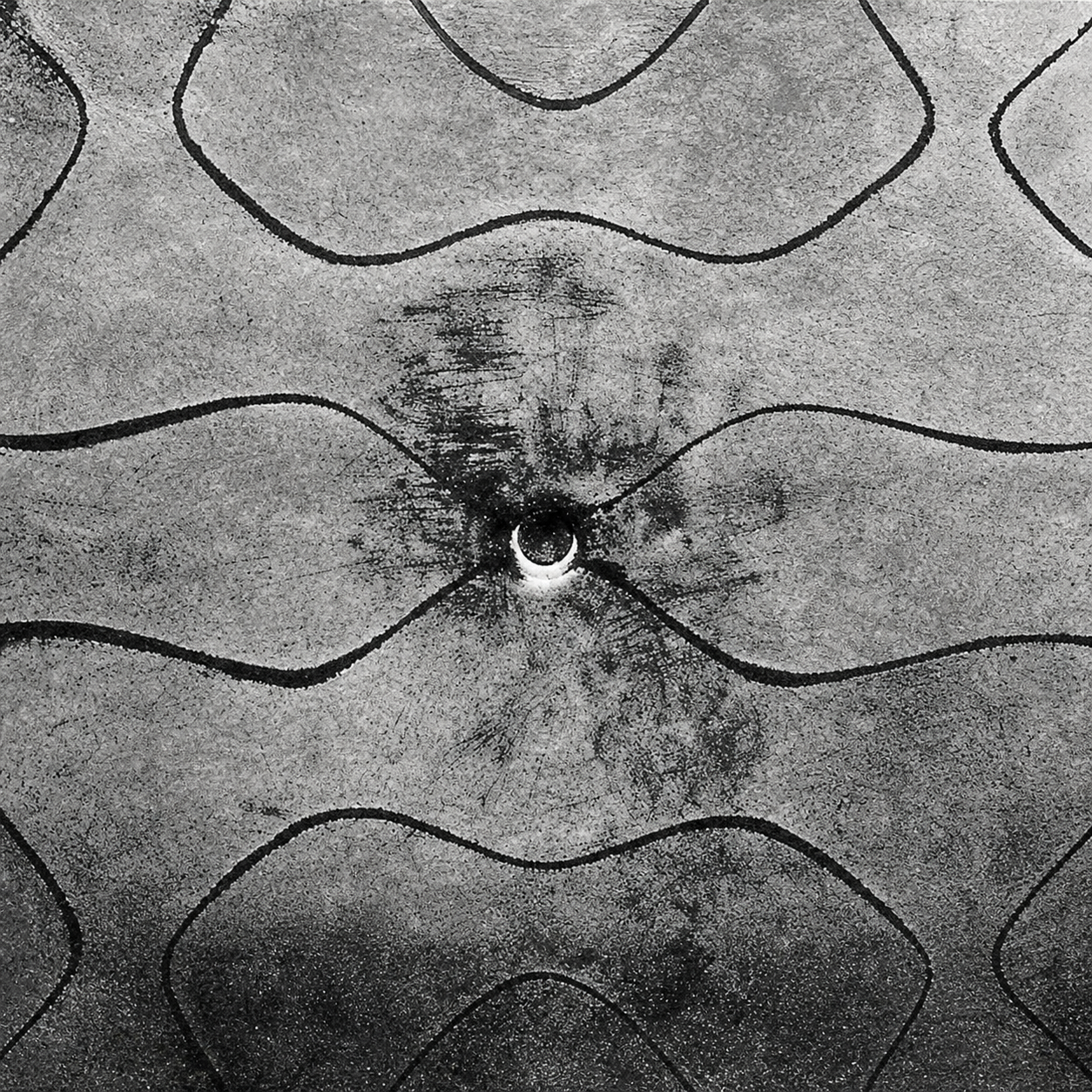Chladni figures, formed by vibrating the sand on a steel plate with a violin bow