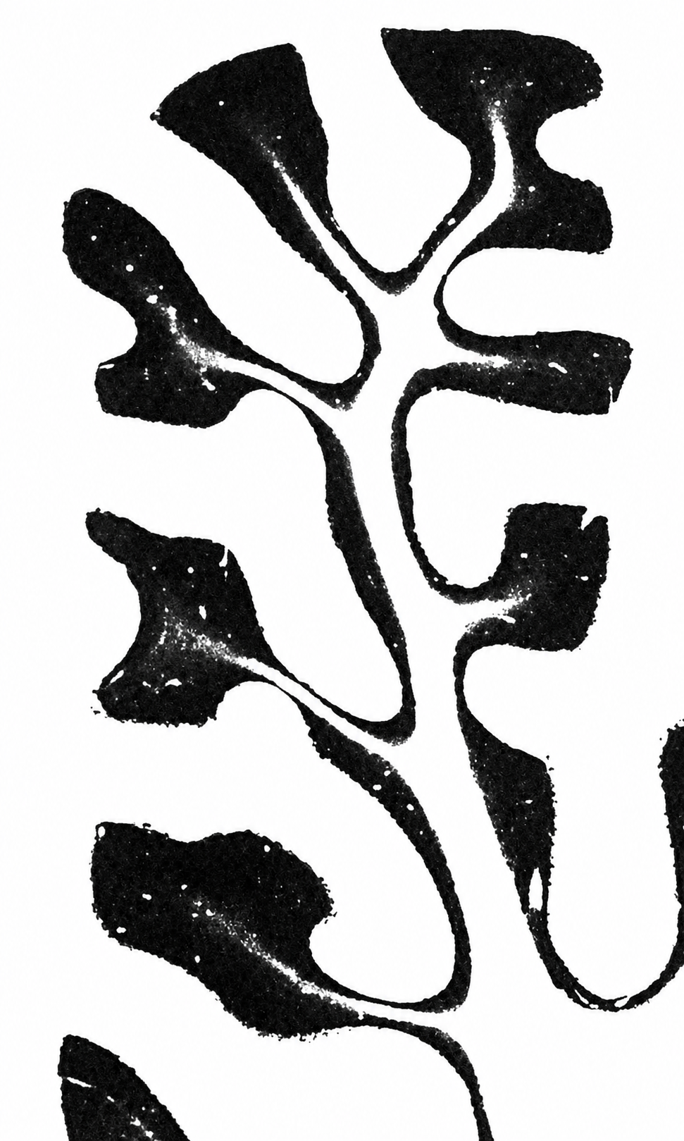 Restored book illustration