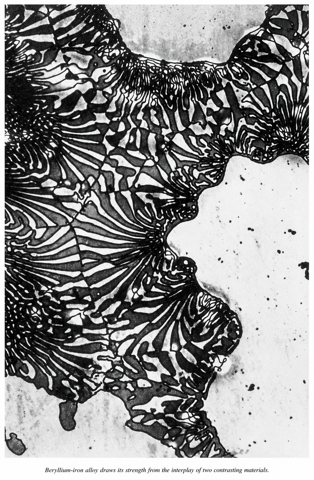 Restored book illustration