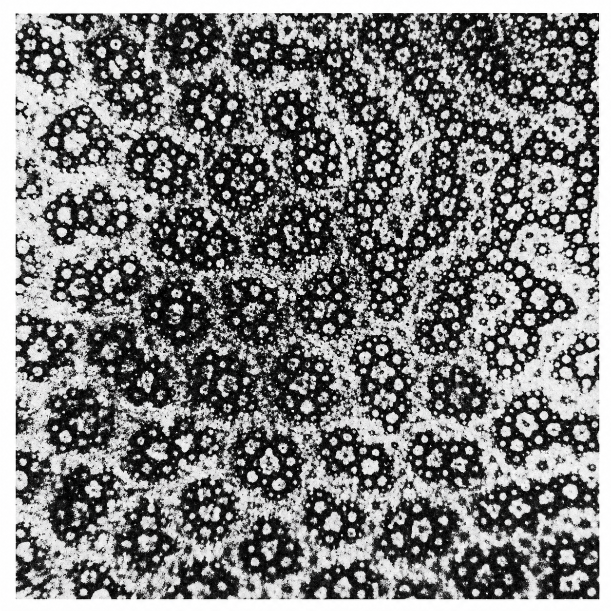Not-separateness in magnetic domains of cobalt