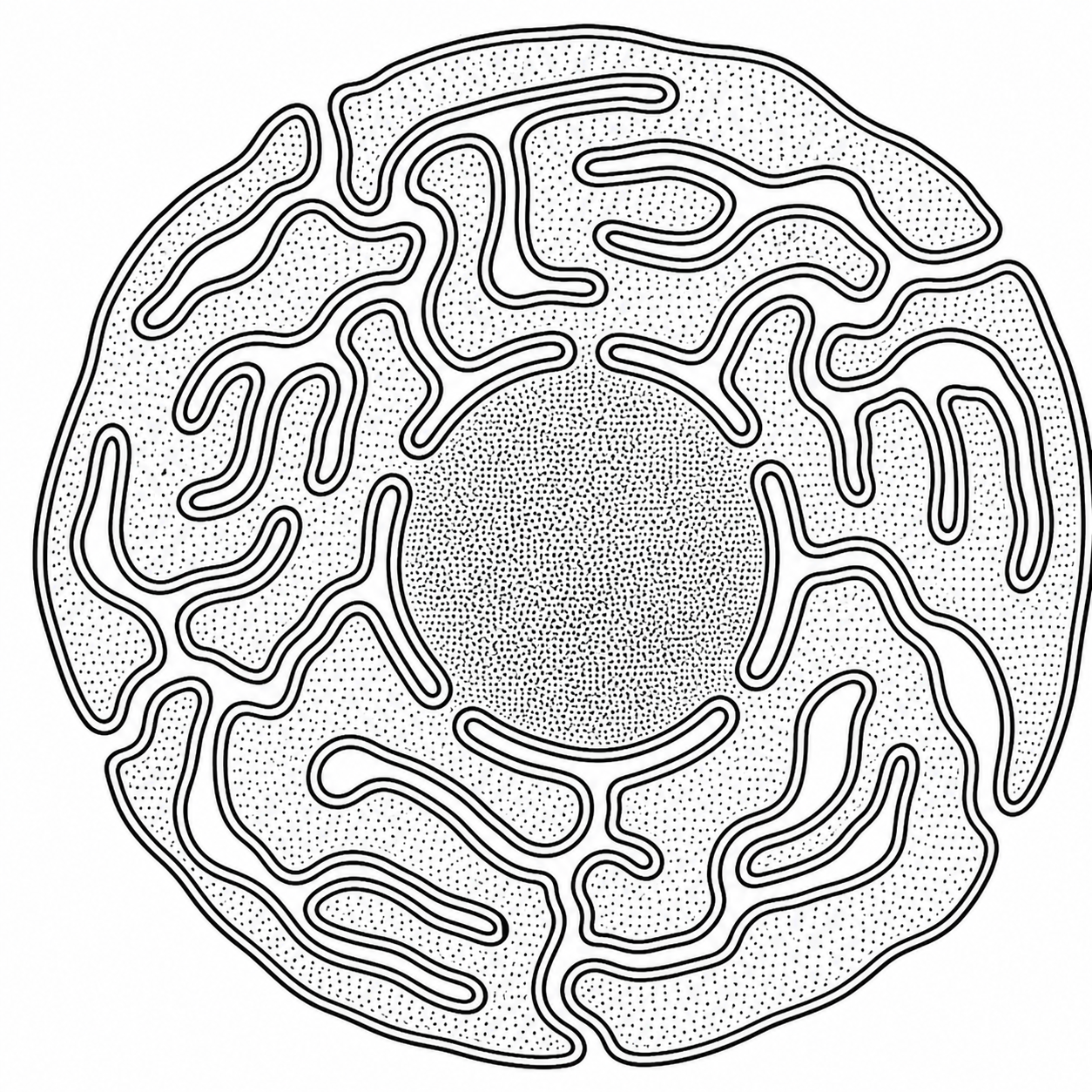 Boundary around a human cell