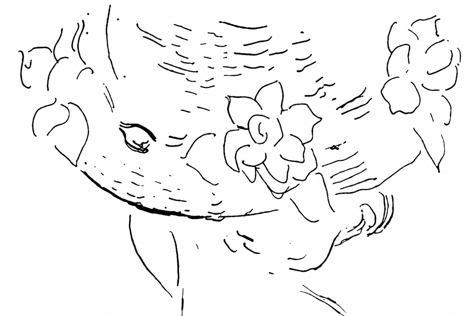 Restored book illustration