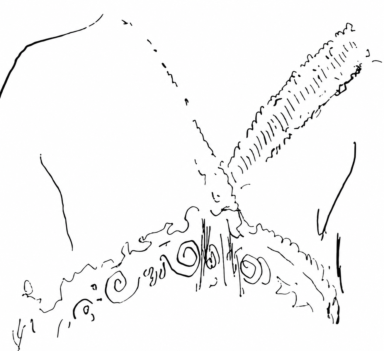 Loulou, Le Dos: a woman drawn by Henri Matisse