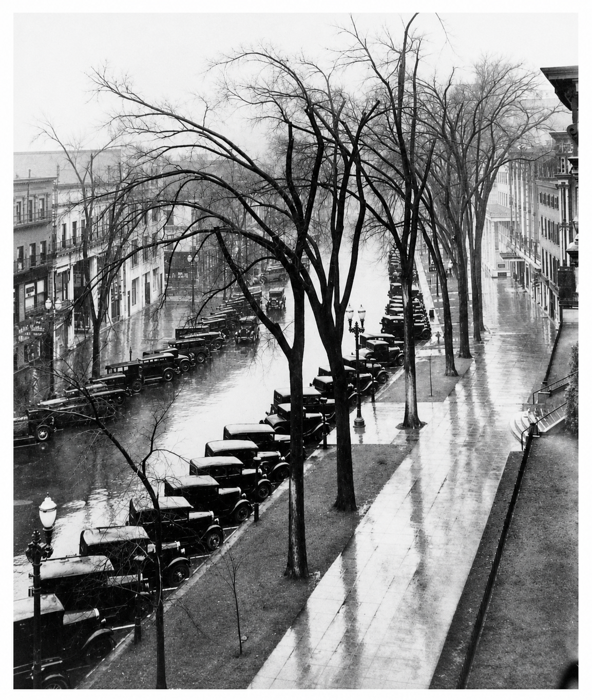 Tree-lined street with old cars