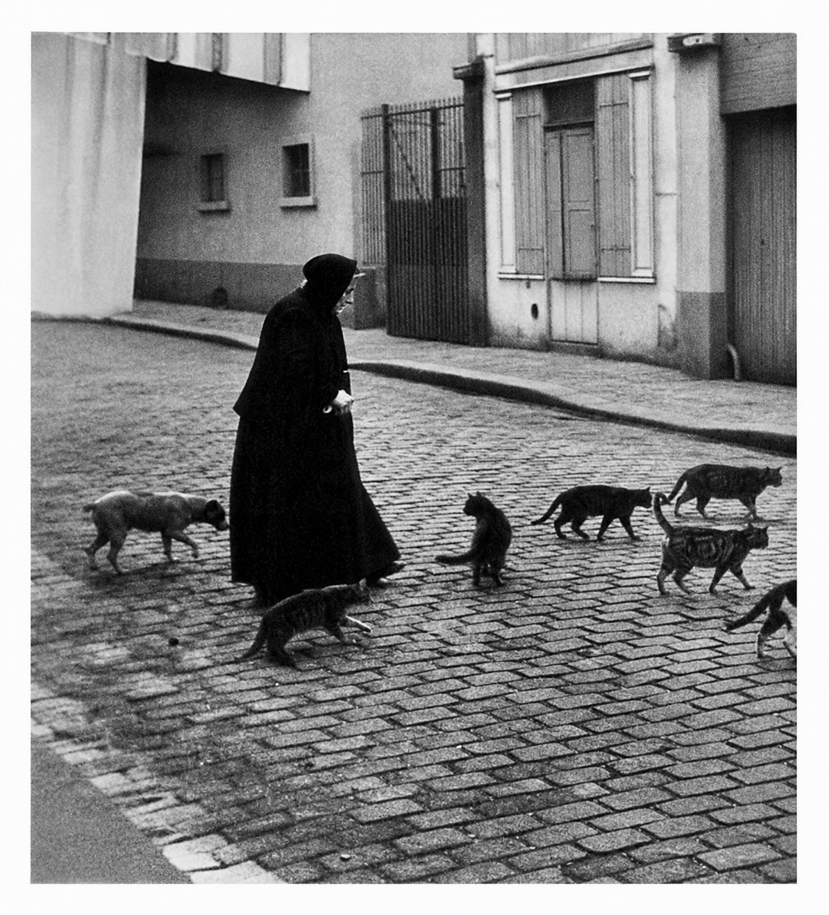 The old lady takes her cats across the street