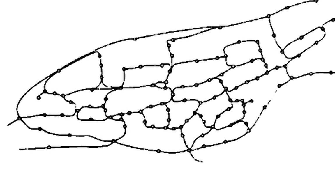 Restored book illustration